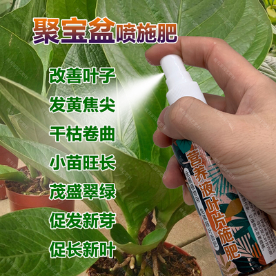 聚宝盆专用肥料花盆栽绿植专用土水培养护懒人花营养液叶面肥肥料