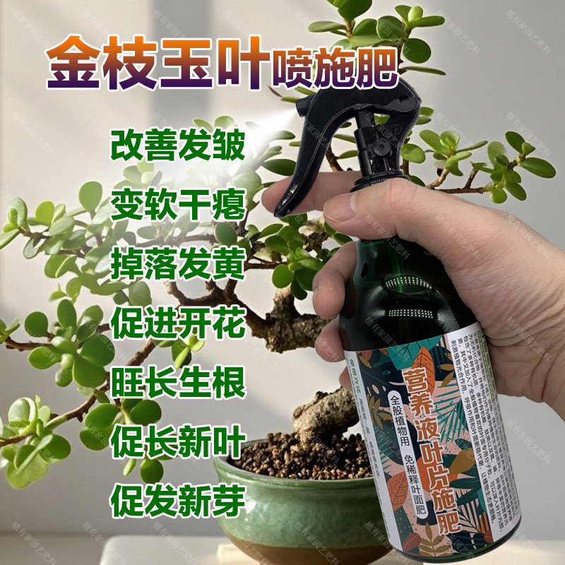 金枝玉叶专用肥料养殖盆栽老桩盆景专用土多肉植物营养液叶面肥料,鲜花速递/花卉仿真/绿植园艺,家庭园艺肥料,淘宝优惠券,粉丝福利购,淘宝优惠卷