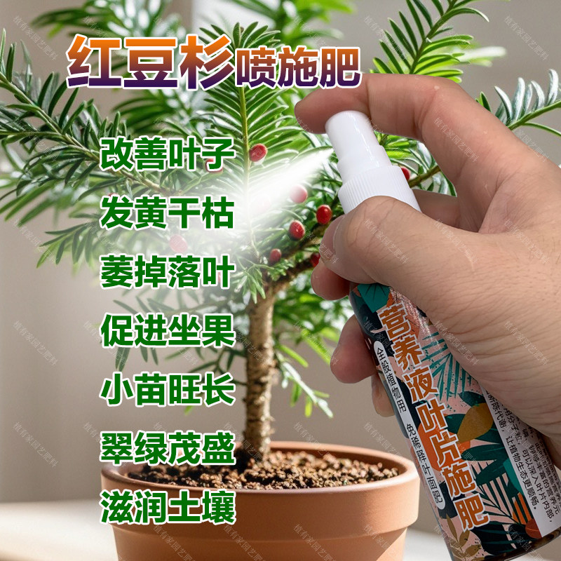 红豆杉专用肥料种植盆栽红豆杉树营养液叶子尖发黄干枯萎叶面肥料,鲜花速递/花卉仿真/绿植园艺,家庭园艺肥料,淘宝优惠券,粉丝福利购,淘宝优惠卷