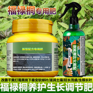 福禄桐专用肥料盆景绿植羽叶福禄桐树苗老桩土培盆栽营养液花肥料