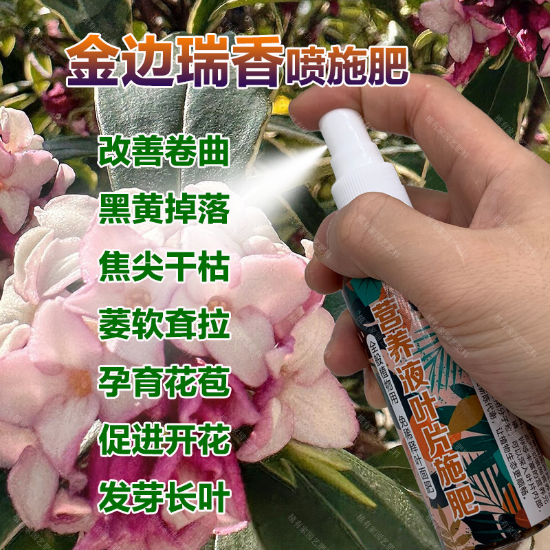 金边瑞香专用肥料养殖花盆栽专用土壤花肥养护营养液喷剂叶面肥料,鲜花速递/花卉仿真/绿植园艺,家庭园艺肥料,淘宝优惠券,粉丝福利购,淘宝优惠卷