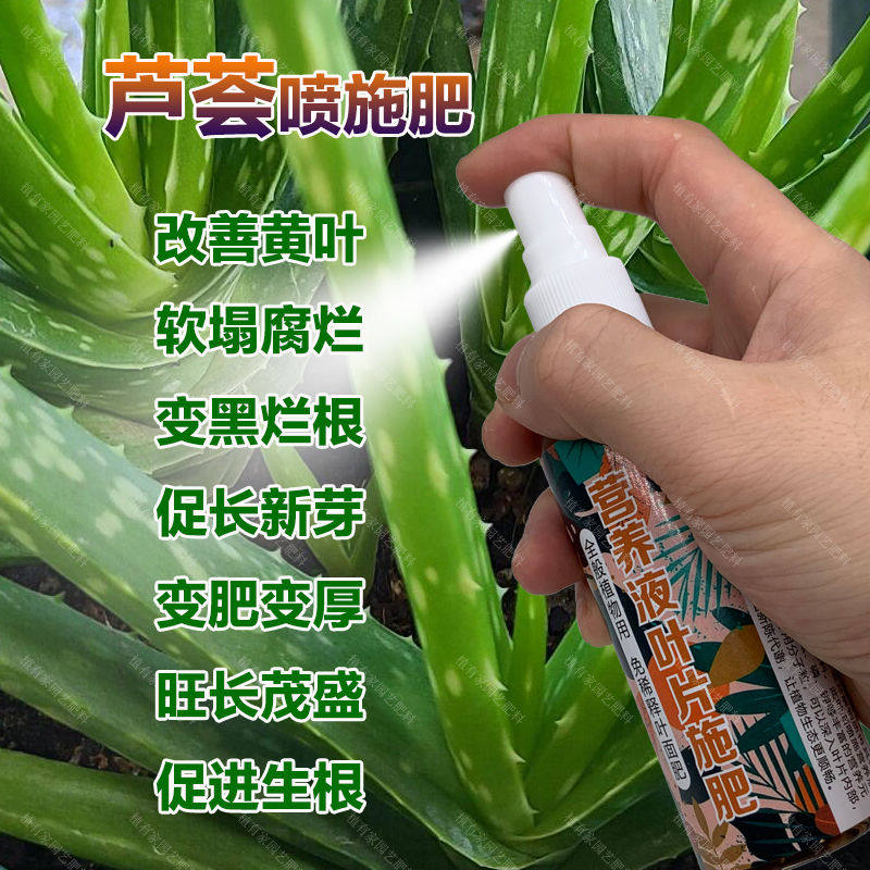 芦荟专用肥料家庭盆栽植物营养液促进长新芽茎叶变肥变厚变绿肥料,鲜花速递/花卉仿真/绿植园艺,家庭园艺肥料,淘宝优惠券,粉丝福利购,淘宝优惠卷