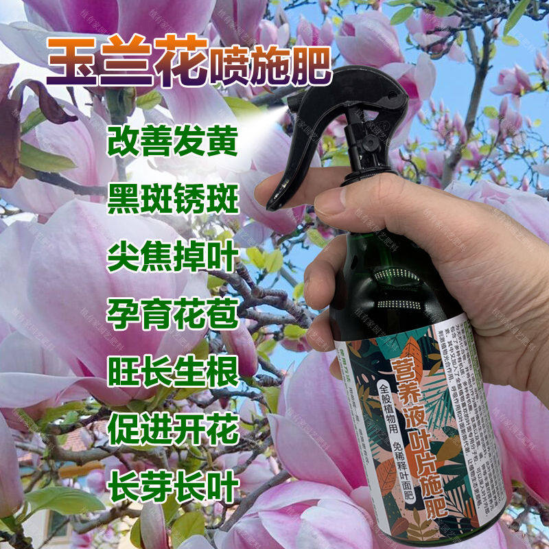 红玉兰树专用肥料树苗盆栽花卉大树营养液紫玉兰花有机肥土壤肥料,鲜花速递/花卉仿真/绿植园艺,家庭园艺肥料,淘宝优惠券,粉丝福利购,淘宝优惠卷