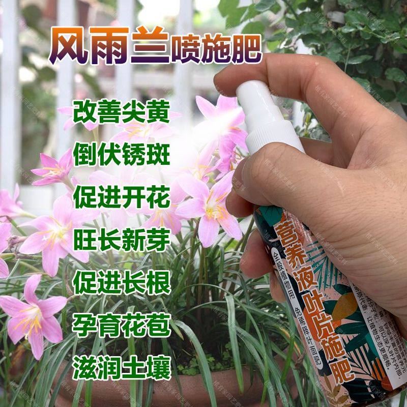 风雨兰种球种植爆花盆栽室内植物营养液兰花叶片家用喷施颗粒肥料,鲜花速递/花卉仿真/绿植园艺,家庭园艺肥料,淘宝优惠券,粉丝福利购,淘宝优惠卷