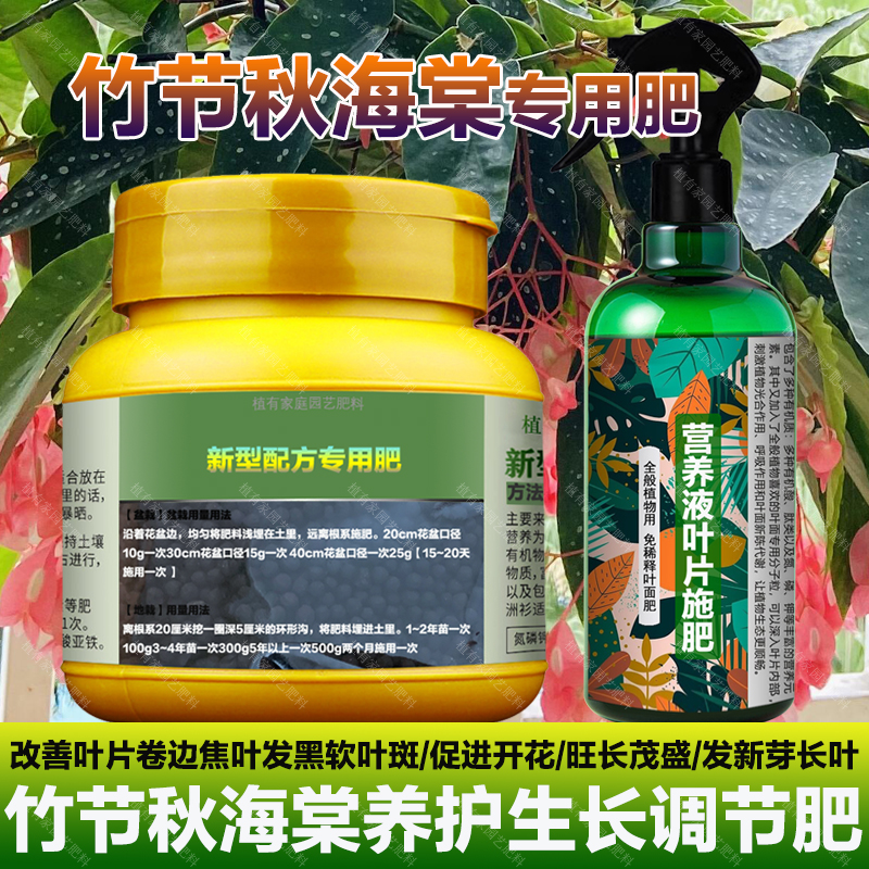 竹节秋海棠专用肥料盆栽营养液海棠花养护专用土生根开花叶面肥料
