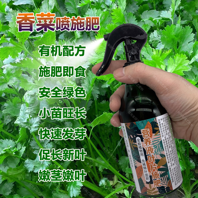 香菜专用肥料盆栽种植改善发黄白色斑点发红发紫卷曲皱缩叶面肥料,鲜花速递/花卉仿真/绿植园艺,家庭园艺肥料,淘宝优惠券,粉丝福利购,淘宝优惠卷