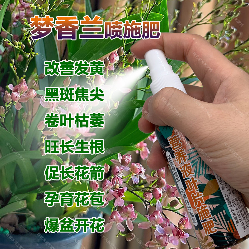 梦香兰专用肥料盆栽文心兰花营养液发黄黑斑焦尖卷叶枯萎叶面肥料,鲜花速递/花卉仿真/绿植园艺,家庭园艺肥料,淘宝优惠券,粉丝福利购,淘宝优惠卷