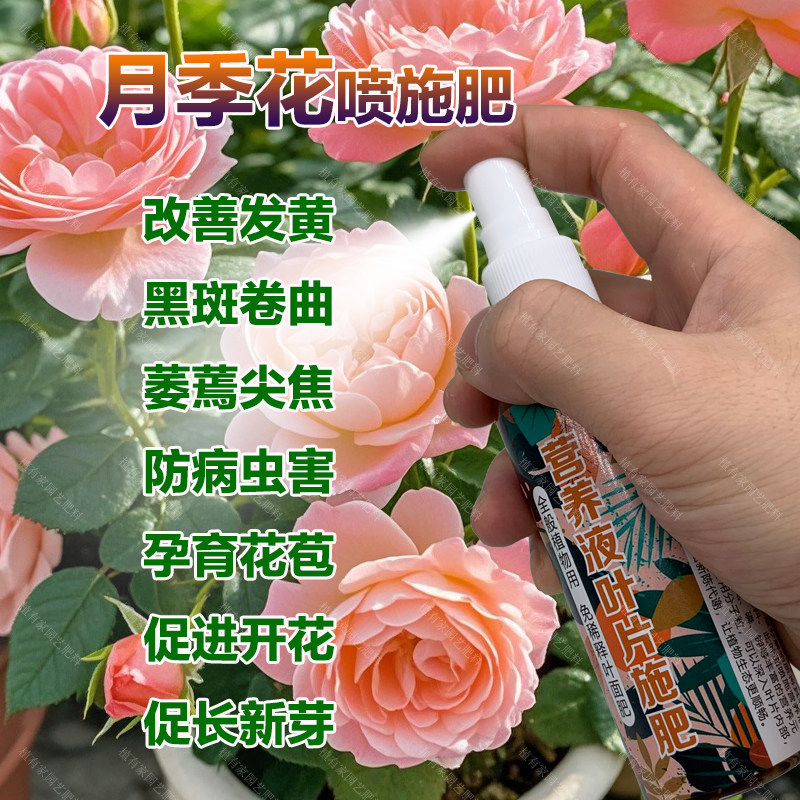 月季专用肥料爬藤盆栽玫瑰花肥蔷薇花专用土壤营养液喷剂叶面肥料,鲜花速递/花卉仿真/绿植园艺,家庭园艺肥料,淘宝优惠券,粉丝福利购,淘宝优惠卷