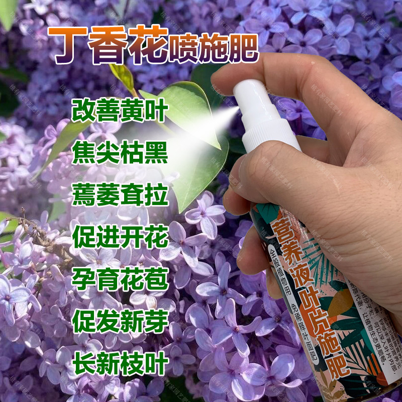 丁香花专用肥料养殖种植盆栽丁香花树苗专用土喷剂营养液叶面肥料,鲜花速递/花卉仿真/绿植园艺,家庭园艺肥料,淘宝优惠券,粉丝福利购,淘宝优惠卷