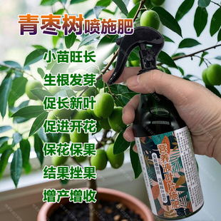 青枣专用肥料青枣树苗营养液叶面肥有机肥盆栽种植专用土叶面肥料
