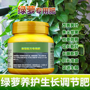 绿萝柱专用肥料盆栽绿植生根生长茂盛长藤长新叶子营养液喷施肥料