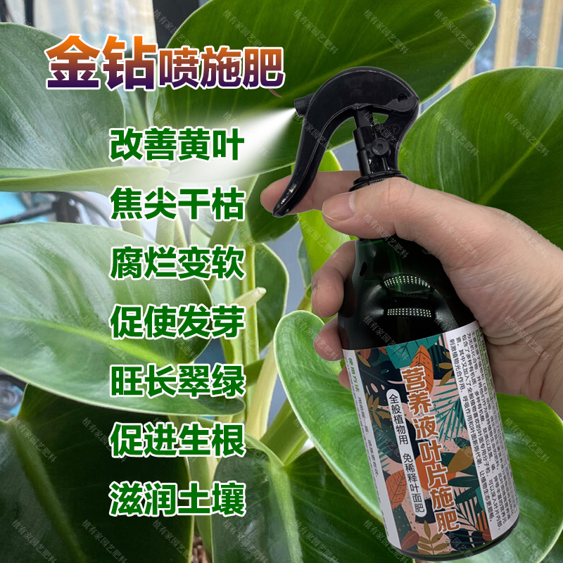 大叶金钻专用肥料盆栽植物促长新叶营养液绿公主蔓绿绒养殖花肥料