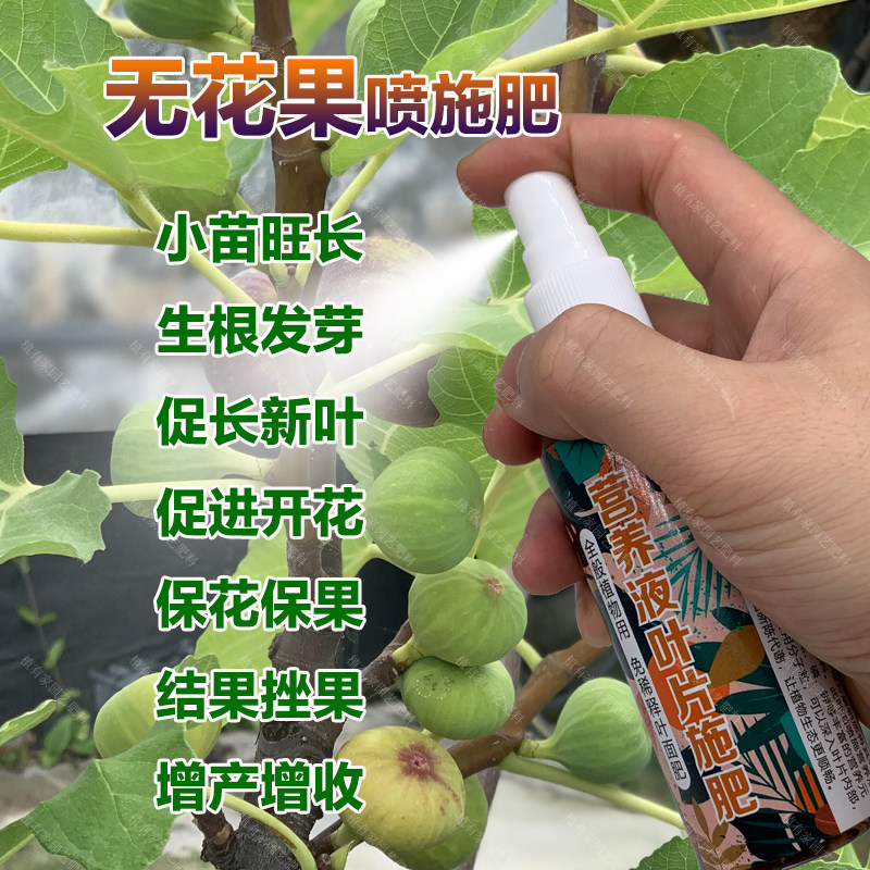 无花果专用肥料种植无花果树苗营养液叶面肥发黄锈斑枯萎卷曲肥料,鲜花速递/花卉仿真/绿植园艺,家庭园艺肥料,淘宝优惠券,粉丝福利购,淘宝优惠卷