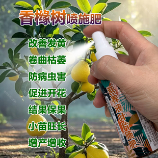 香橼树专用肥料佛手盆栽土壤营养液发黄卷曲枯萎防病虫害叶面肥料