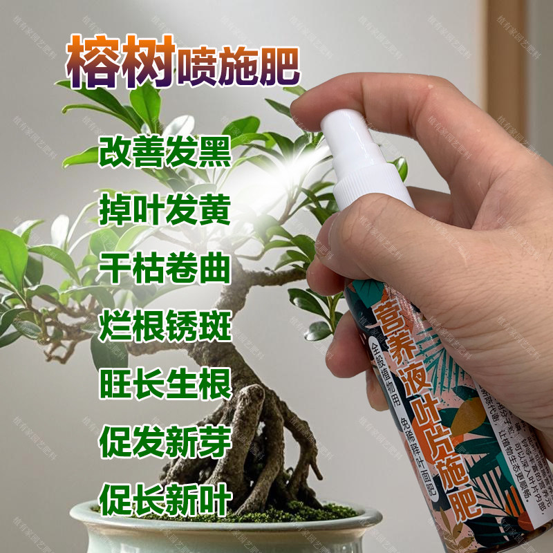 榕树专用肥料盆景树苗营养液发黑发黄手枯卷曲烂根锈斑掉叶面肥料,鲜花速递/花卉仿真/绿植园艺,家庭园艺肥料,淘宝优惠券,粉丝福利购,淘宝优惠卷