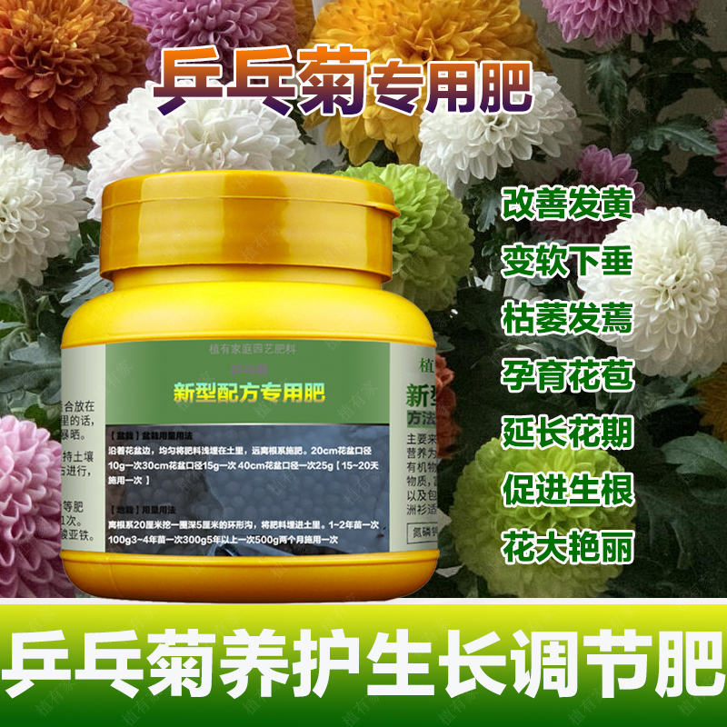 雏菊乒乓菊专用肥料家庭营养液开花促花家用盆栽植物水溶菊花肥料