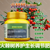 火棘树专用肥料养殖盆景树苗土壤养护营养液叶面肥叶面肥有机肥料
