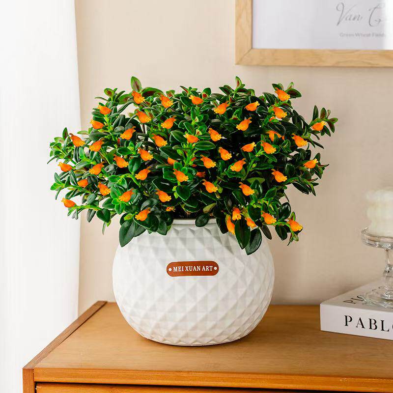 金鱼花吊兰盆栽带花苞发货懒人吸水盆水培植物室内阳台四季常青花,鲜花速递/花卉仿真/绿植园艺,绿植,淘宝优惠券,粉丝福利购,淘宝优惠卷