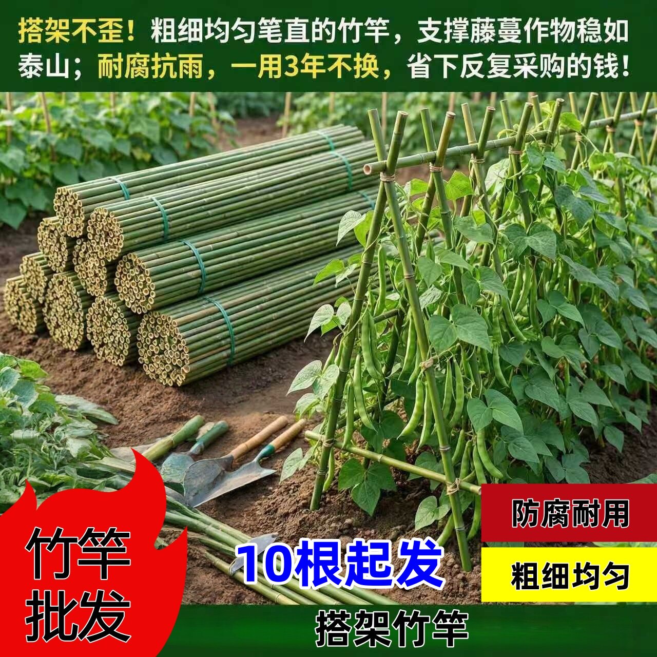 10根竹竿菜园搭架蔬菜黄瓜番茄豆角架杆竹篱笆栅栏小竹子细竹竿架