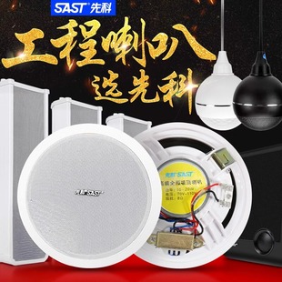 先科吸顶广播吊顶壁挂喇叭同轴吊球防水音柱无线音箱嵌入商超酒店