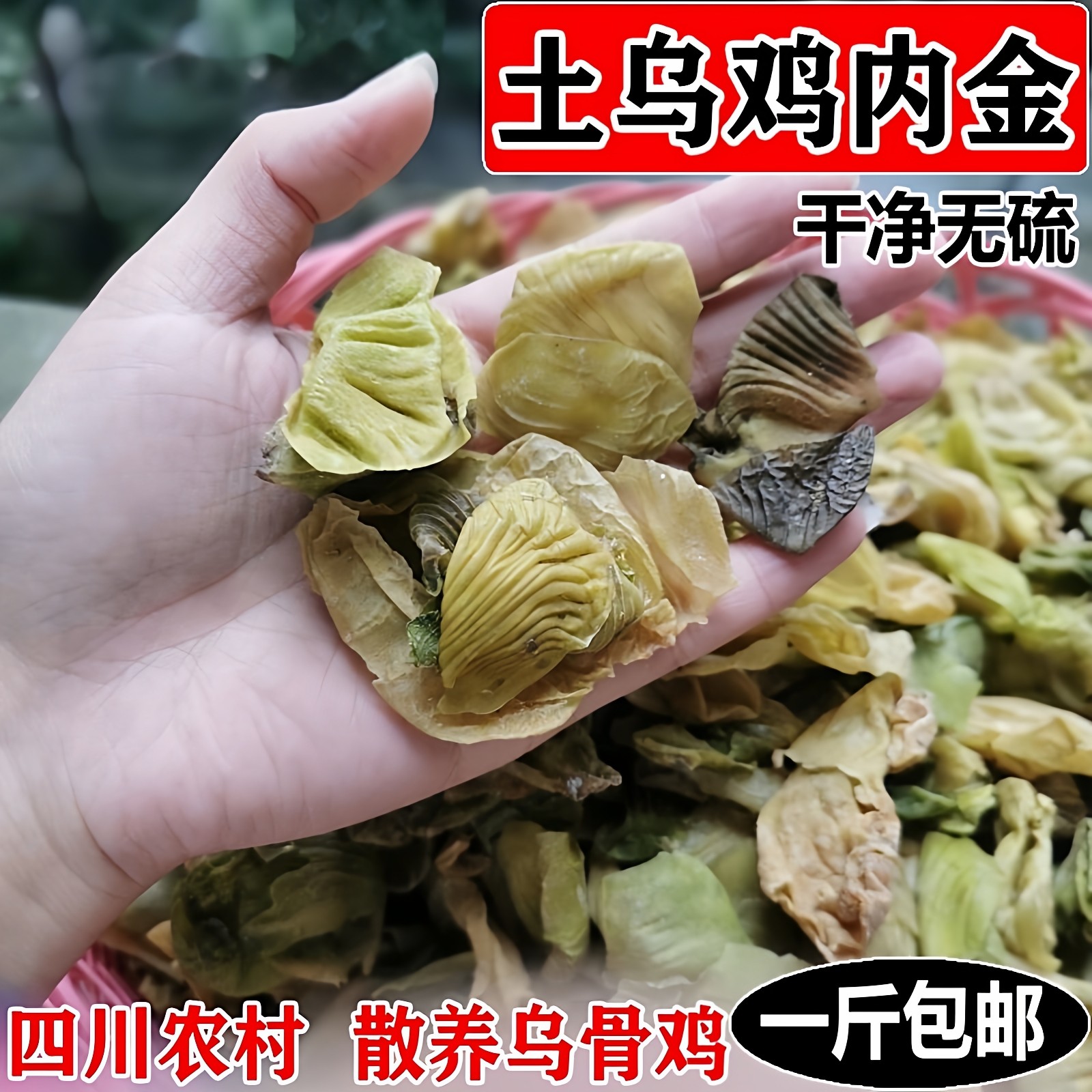 农村鸡内金散养土鸡内金片化结石鸡胗皮500g可打粉积食鸡黄皮无硫