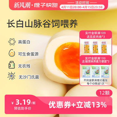 橙子快跑即食零食卤蛋溏心蛋