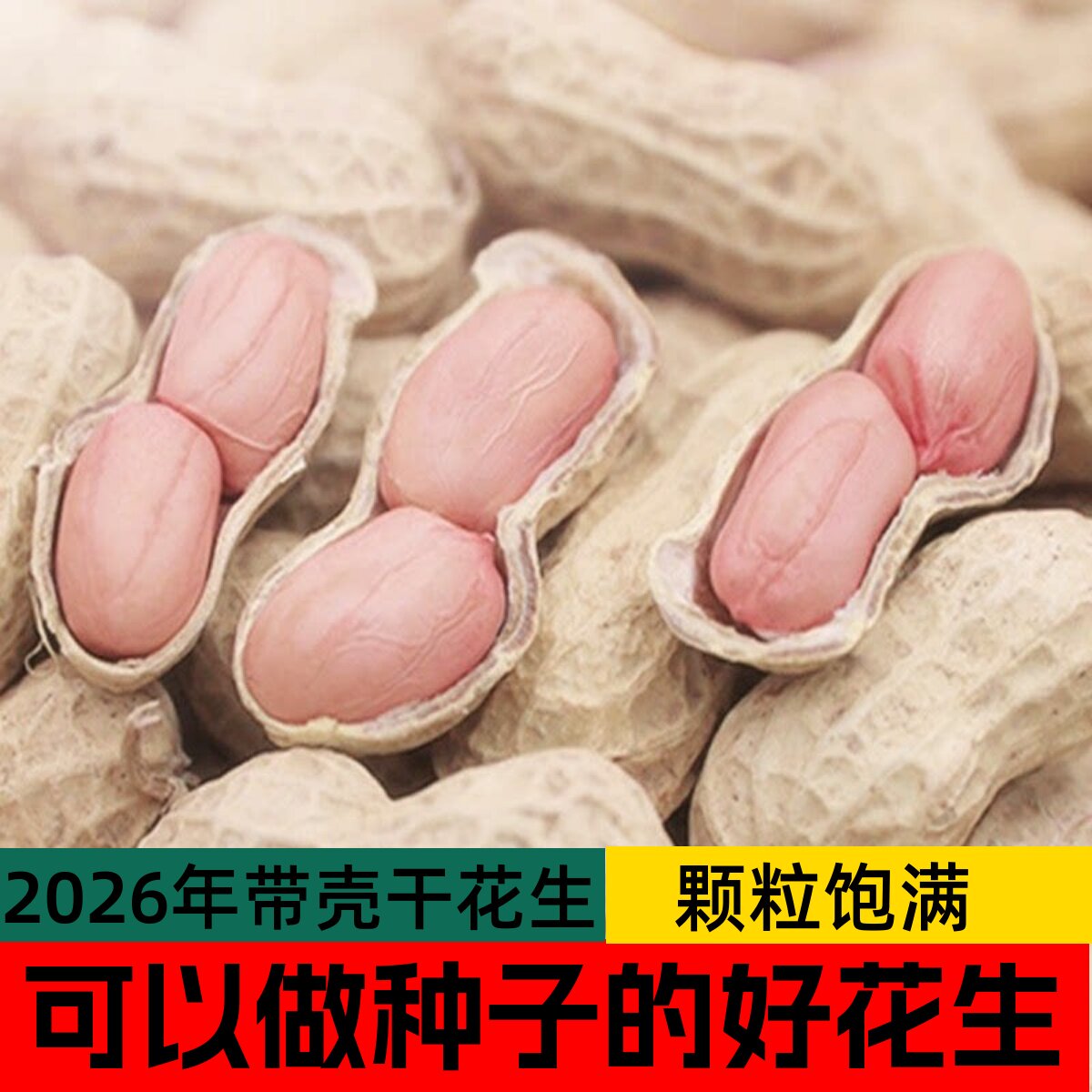 26年新带壳生花生精选种子级花生图片