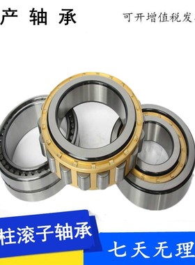 偏心轴承RN205 206 307 RN309 312 RN328 219 222 228EM减速机