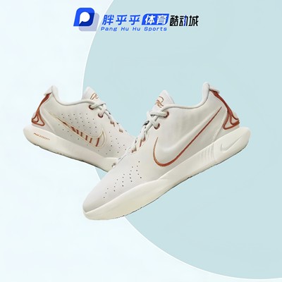 NikeLebron21EP Akoya勒布朗21代LBJ21篮球鞋男女同款FV2346-001
