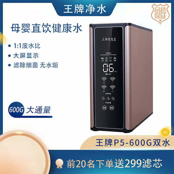 王牌P5-600G双水
