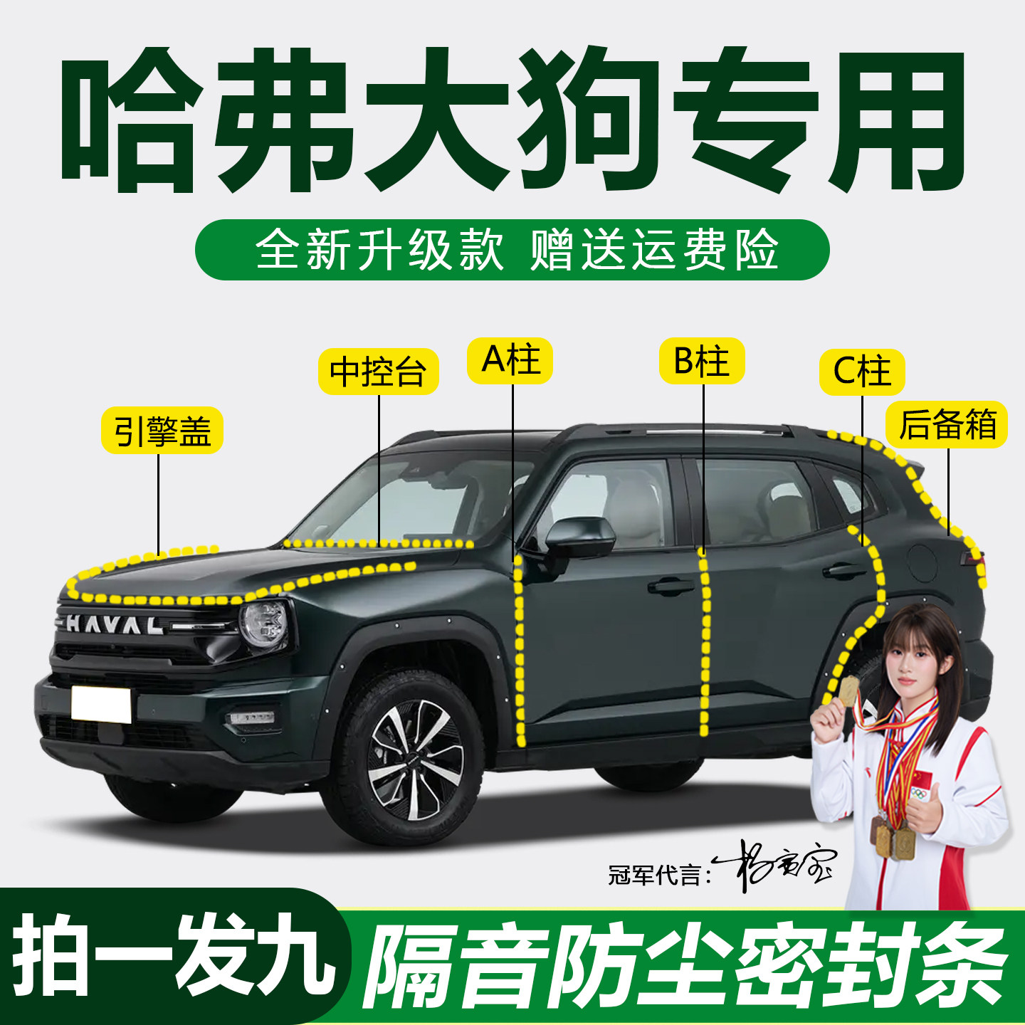 哈弗大狗降噪防尘静音防水密封条