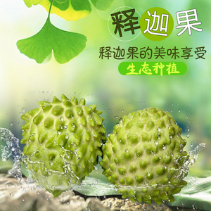 云南释迦果5斤包邮当季番荔枝佛头果凤梨释迦大果新鲜水果整箱