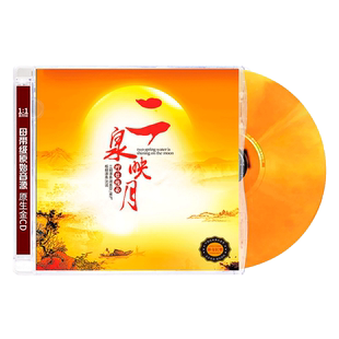 中国民族器乐民乐鉴赏二泉映月大师经典名曲车载cd发烧碟音乐