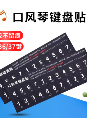 口风琴37键贴纸32键盘贴数字贴36键41键奇美天鹅嘉德瑞通用音标帖