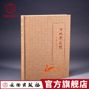 汉成帝延陵考古调查勘探报告  陕西省考古研究院 咸阳市文物考古研究所 编著  文物出版社官方旗舰店
