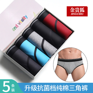 金贵狐男士内裤青年三角裤男款新款性感透气纯棉底裤2025新品