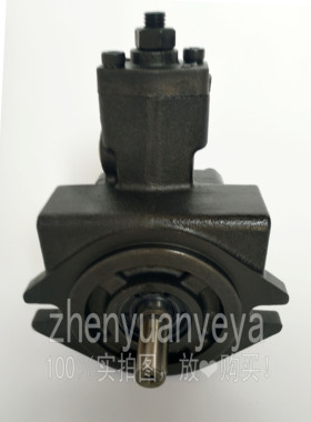 TPF-VL401-GH4-10台湾原装ANSON 安颂叶片泵花键TPF-VL402-GH4-10