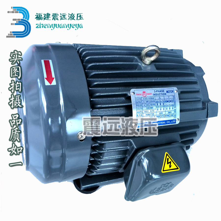 台湾SY群策 15KW 20HP C20-43B0 油压电机 TRADE S.Y MARK