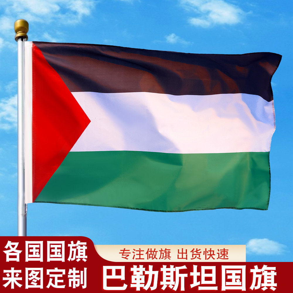 123456号巴勒斯坦国旗户外飘旗手摇旗串旗办公桌旗落地旗会议签约旗帜外国旗万国旗小旗帜装饰吊旗旗定制