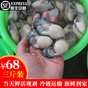 男人每天吃多少生蚝?男人一天吃几个生蚝?