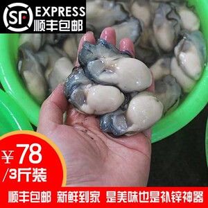 【鲜活生蚝牡蛎图片】鲜活生蚝牡蛎图片大全