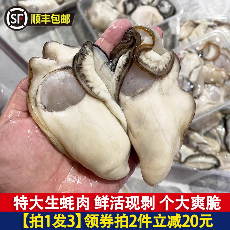 特大生蚝肉鲜活现剥新鲜生蚝去壳大蚝肉生耗海鲜水产火锅食材 3斤