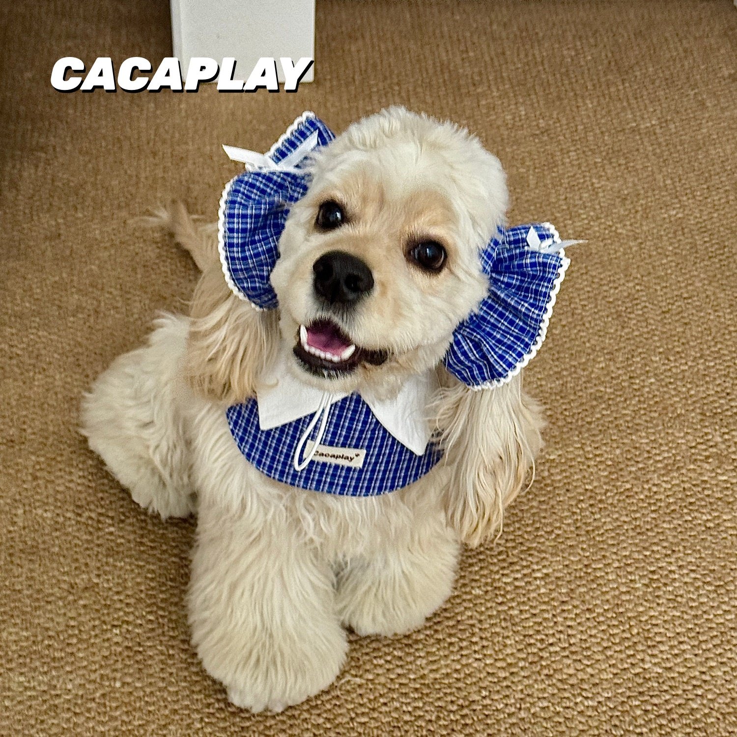 CACAPLAY【MIU系学院】可爱美卡耳花围兜口水巾狗头套套装可卡布,宠物/宠物食品及用品,发饰/头饰,淘宝优惠券,粉丝福利购,淘宝优惠卷