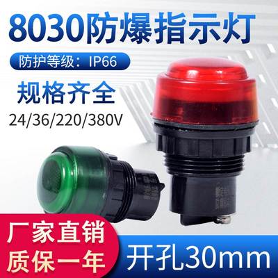 8030防爆信号灯指示灯24V36V220V红绿380V防爆配电箱LED灯ExdeIIC