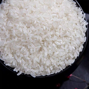 东北黑龙江五常大米20斤2023年新米10kg稻香米2号 粮族 长粒米