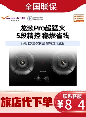 万和【龙燚火】Y3L13  自动熄火5.2kW全进风旋火档火力调节防烫提