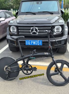 【老刘只懂车】Tern燕鸥D9折叠车油压碟刹竞速自行车22寸油碟p10