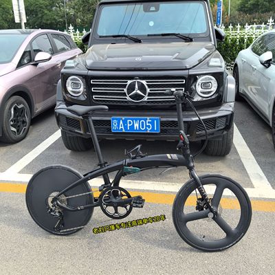 TERN燕鸥折叠车D9油碟刹车22寸
