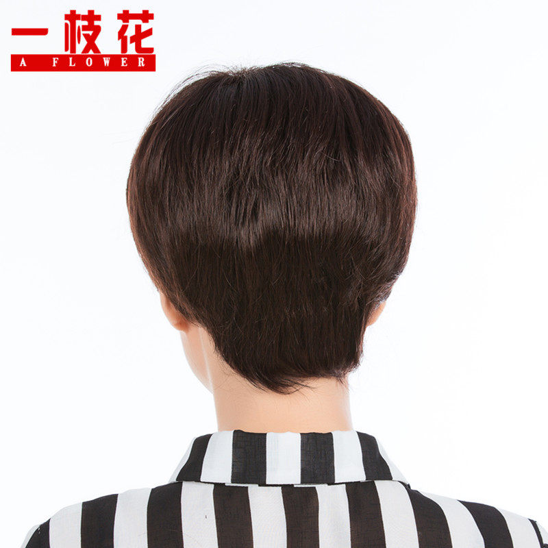 Perruque cheveux raides Court - Ref 2609943 Image 5