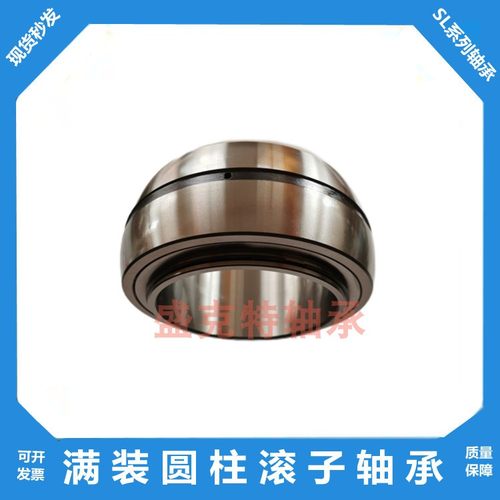 满装圆柱滚子轴承045012